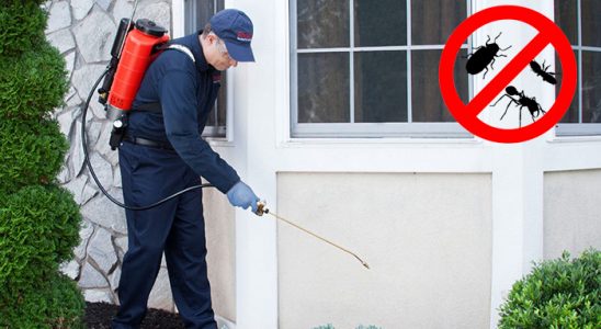 Haymana Bit İlaçlama böcek ilaçlama ve haşere kontrolü — ilaclama-tr.com